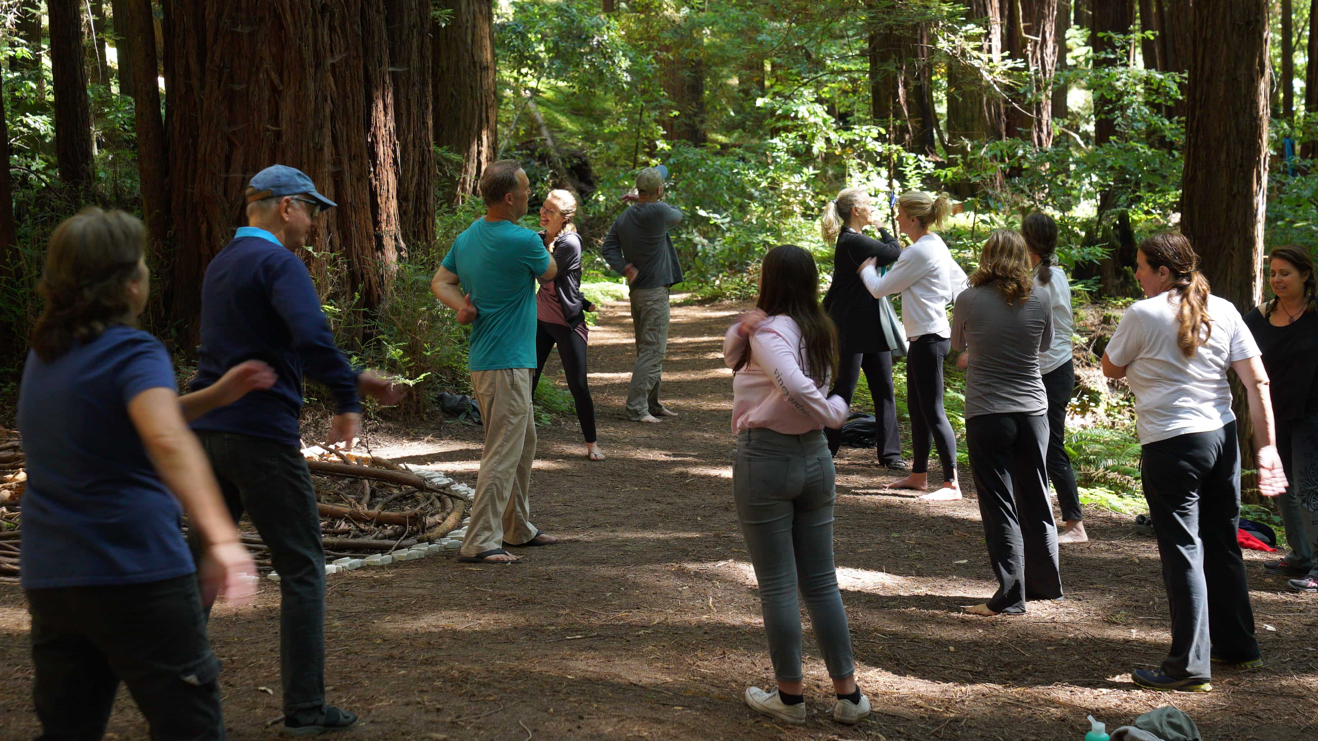 Lee Holden teaching Qi Gong in the California redwoods