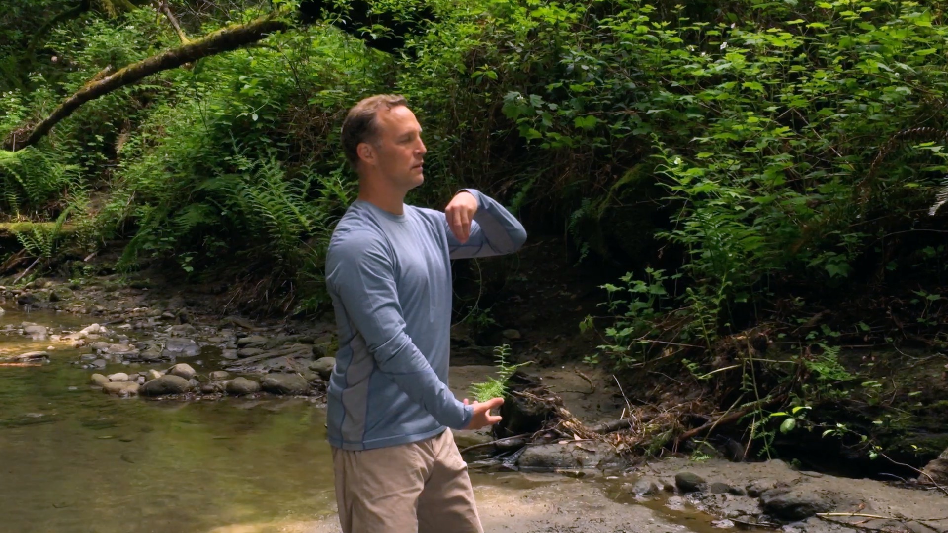 Lee Holden leading a live Qi Gong class